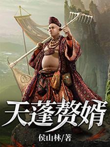 天蓬赘婿