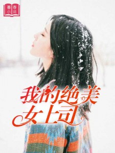 我的绝美女上司