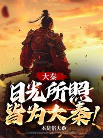 大秦：日光所照，皆为大秦！
