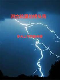四合院里的楞头青