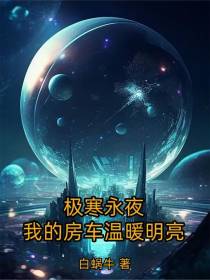 极寒永夜，我的房车温暖明亮