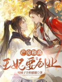 产房和离，王妃要创业