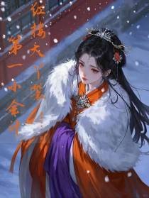 红楼大丫鬟，第一小会计