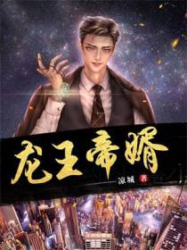 龙王帝婿