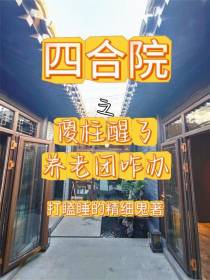 四合院之傻柱醒了养老团咋办