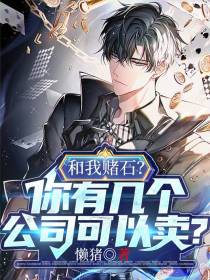 和我赌石？你有几个公司可以卖？