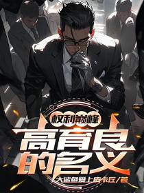 权力巅峰：高育良的名义
