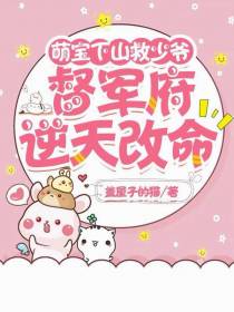 萌宝下山救少爷，督军府逆天改命