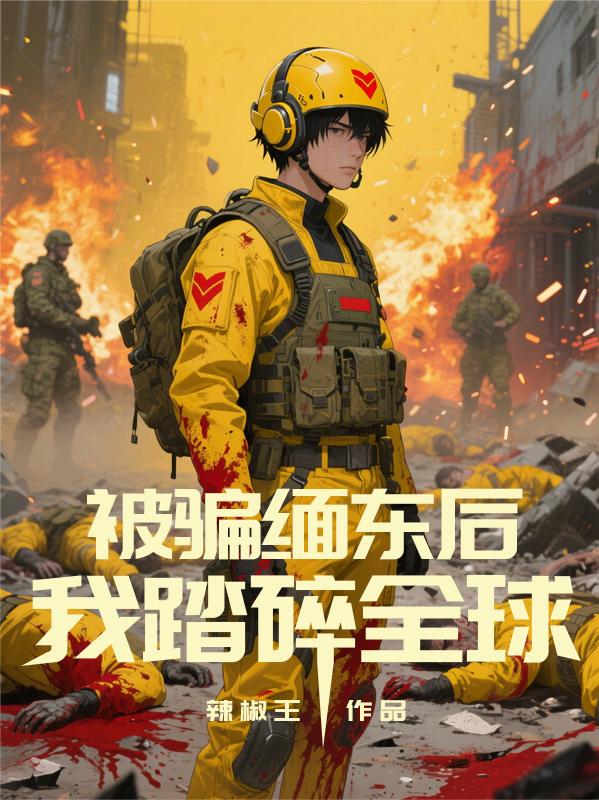 被骗缅东后，我踏碎全球