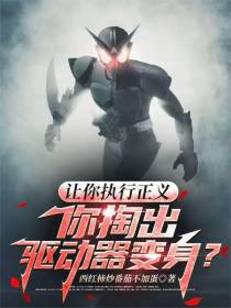 让你执行正义，你掏出驱动器变身