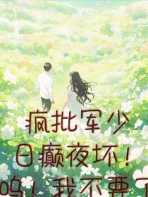 疯批军少日癫夜坏！呜！我不要了