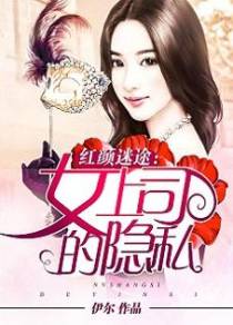 红颜迷途：女上司的隐私