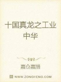 十国真龙之工业中华
