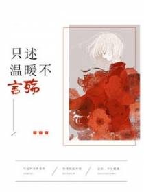 只述温暖不言殇