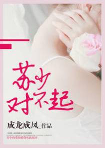 苏少对不起