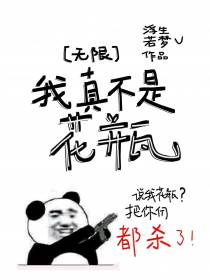 我真不是花瓶[无限]