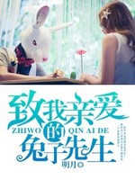 致我亲爱的兔子先生