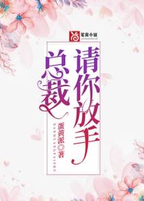 总裁，请你放手