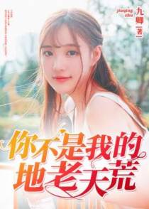 此情已搁浅