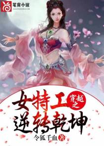 穿越之女特工逆转乾坤