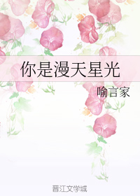 你是漫天星光