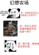 不离