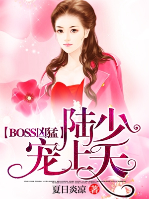 陆少宠妻要上天