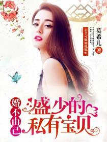 婚不由己：盛少的私有宝贝