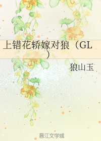 上错花轿嫁对狼+番外